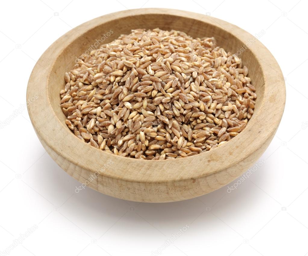 spelt, farro, primitive wheat