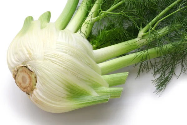 Fresh finocchio, florence fennel bulb — Stock Photo, Image