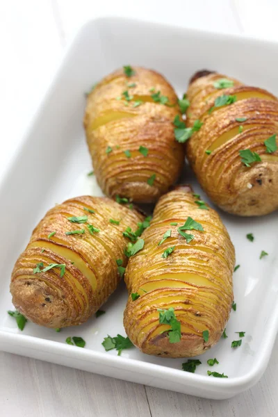 Hasselback brambory, švédské jídlo — Stock fotografie