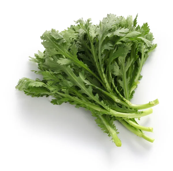 Crown daisy leaves images libres de droit, photos de Crown daisy leaves