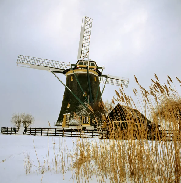 Die Niederlande Kinderdijk Windmühle Schnee Bei Sonnenaufgang Das Ist Ein — Stockfoto
