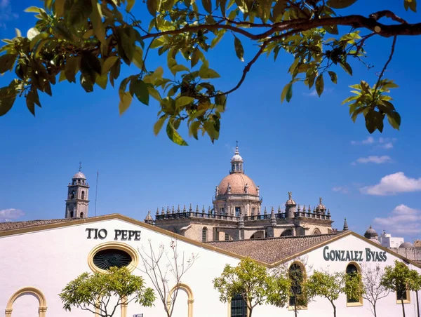 Jerez Frontera Spanien August 2010 Die Bodegas Tio Pepe Von — Stockfoto