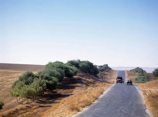 Paisaje Largo Carretera Del Rey Petra Jordania — Foto de Stock