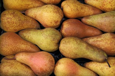 pears at a famers market in France  clipart
