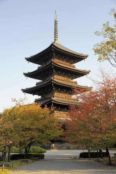 Pagoda karmaşık-ji Tapınağı'nda — Stok fotoğraf