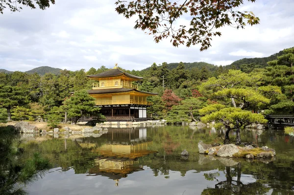 Kinkakuji Tapınağı