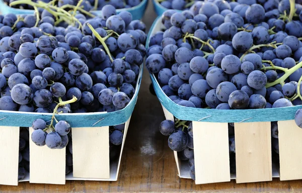 Uvas para venda — Fotografia de Stock