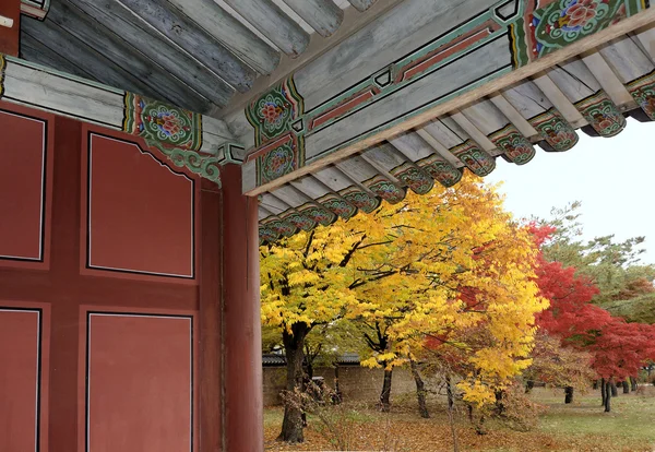 Árvores no Palácio Changgyeonggung — Fotografia de Stock