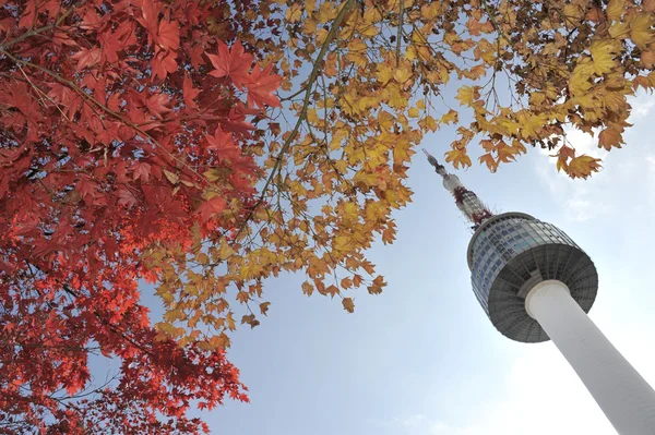 Ağaçların bulunduğu Seul Kulesi — Stok fotoğraf