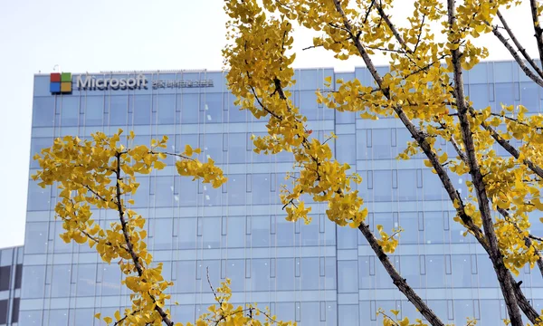 Microsoft sídlo v Jižní Koreji — Stock fotografie