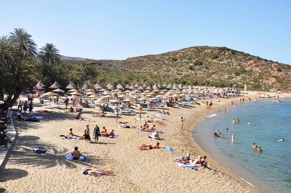 Vai palm forest Kreta Grekland — Stockfoto