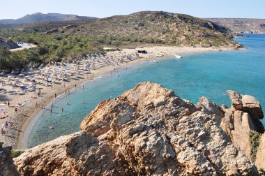 Vai palmiye orman crete Yunanistan