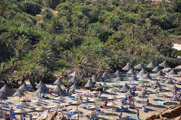 Vai palm forest Kreta Grekland — Stockfoto