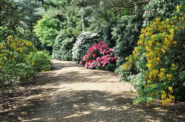 公園の路地 — ストック写真