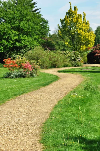 Alley in park Stock Picture