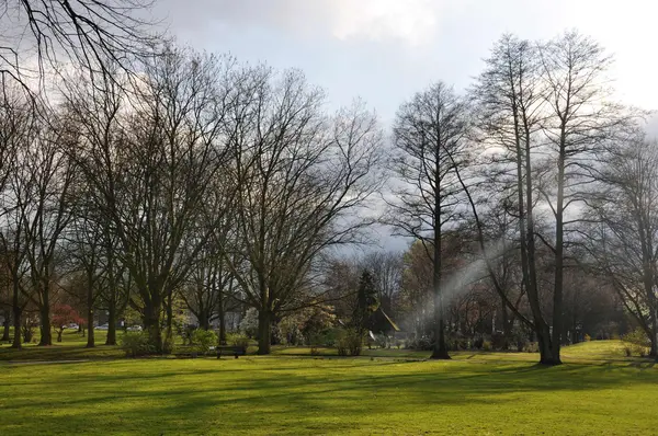 Vista al parque en primavera — Foto de Stock