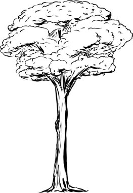 Outined uzun boylu ağaç