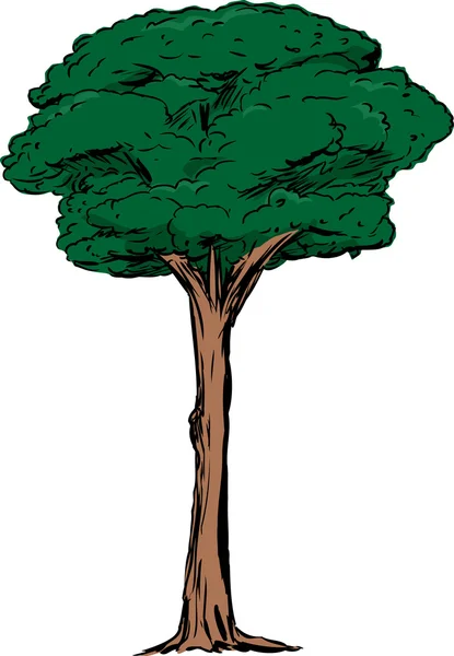 Ilustração de Árvore Alta Isolada —  Vetores de Stock