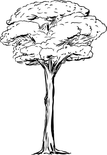 Outined 背の高いツリー — ストックベクタ