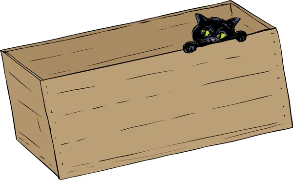 Schwarze Katze guckt aus einer Box — Stockvektor