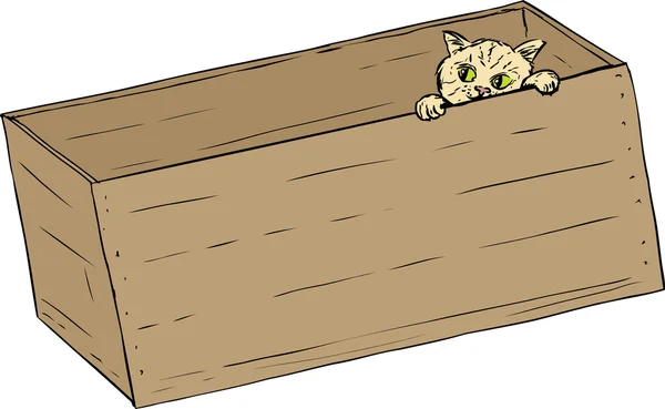 Tabby gatito mirando desde el borde de la caja — Archivo Imágenes Vectoriales