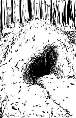 Ormandaki ayı Den özetlenen