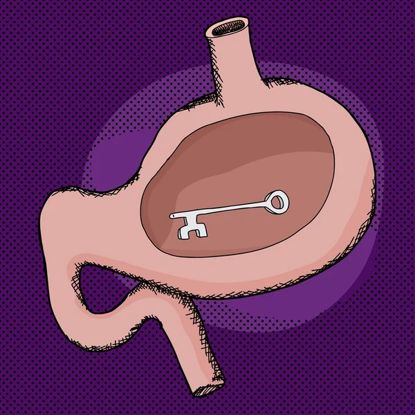 Llave esquelética en el estómago — Vector de stock