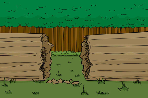 Сломанное дерево в лесу