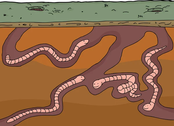 快乐的蠕虫地下 — 图库矢量图片