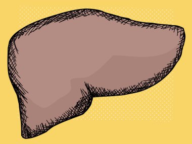 karaciğer üzerinde sarı