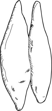 Seviyelendirilmiş timus bezi