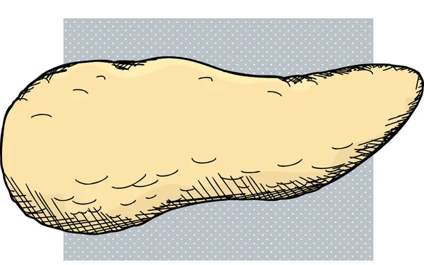胰腺器官卡通 — 图库矢量图片