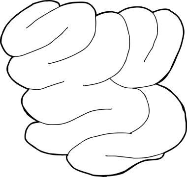 ince bağırsak anahat