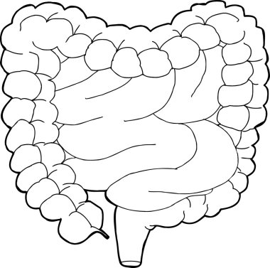 Seviyelendirilmiş sindirim sistemi