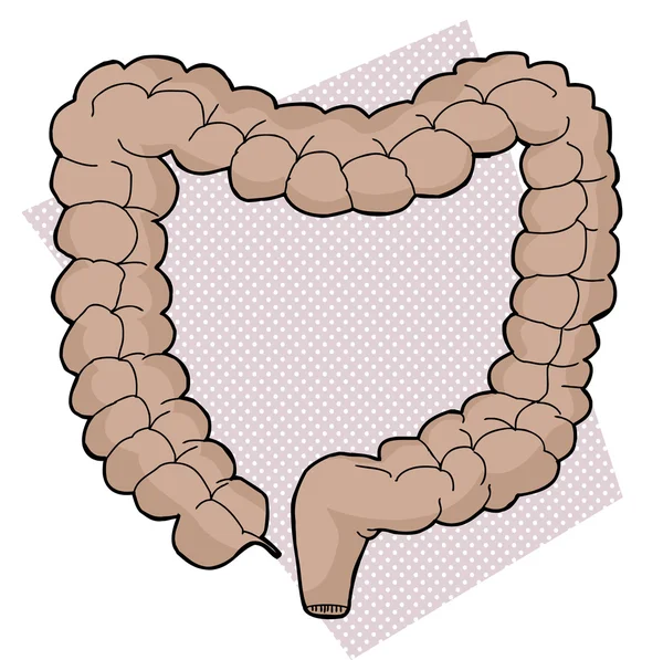 Intestino grueso sobre púrpura — Archivo Imágenes Vectoriales