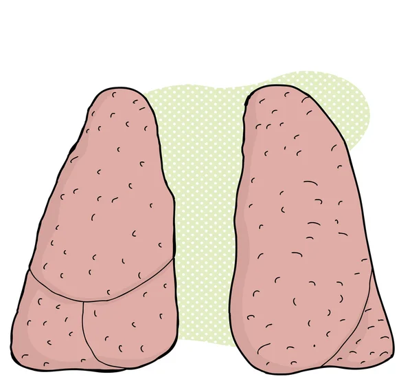 Lungen über grün — Stockvektor