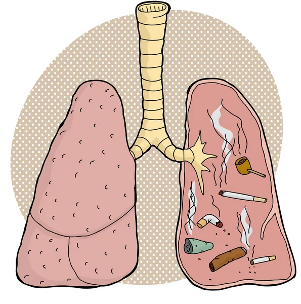 Tabaco dentro dos pulmões — Vetor de Stock