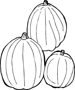 Seviyelendirilmiş kabaklar