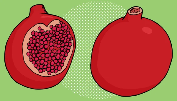 Pomegranate Close Up — Stock Vector
