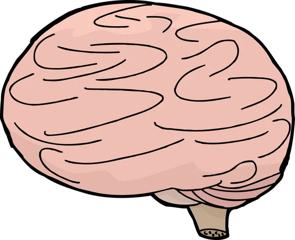 Cervello isolato Doodle — Vettoriale Stock