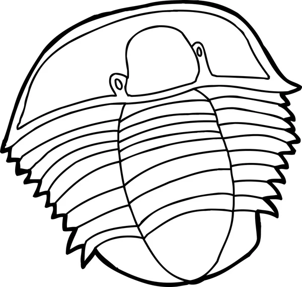 Trilobite contour — Image vectorielle