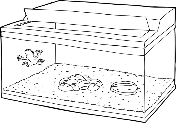 Overzicht van de kikker in Aquarium — Stockvector