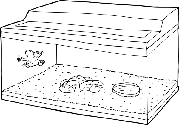 青蛙在鱼缸的轮廓 — 图库矢量图片