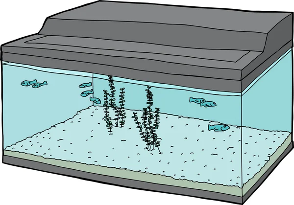 Poissons nageant dans un aquarium isolé — Image vectorielle