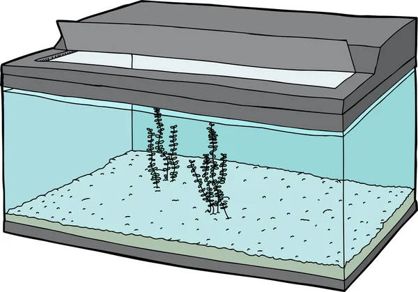Open Tank with Aquatic Plants — Stock Vector