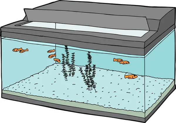 Peixinho dourado em aquário aberto — Vetor de Stock