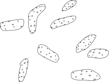 Dokuz Susam Çubuğu