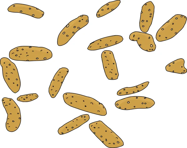 Geïsoleerde Sesame Sticks — Stockvector