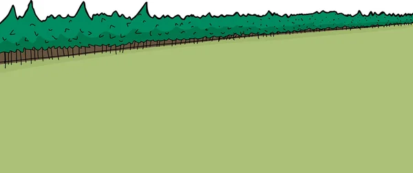 Forêt et champ de pins — Image vectorielle