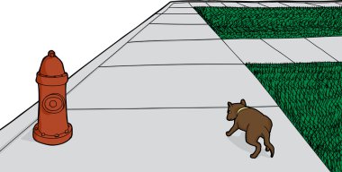 Kaldırımda kayıp köpek